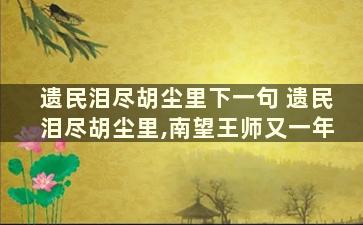 遗民泪尽胡尘里下一句 遗民泪尽胡尘里,南望王师又一年